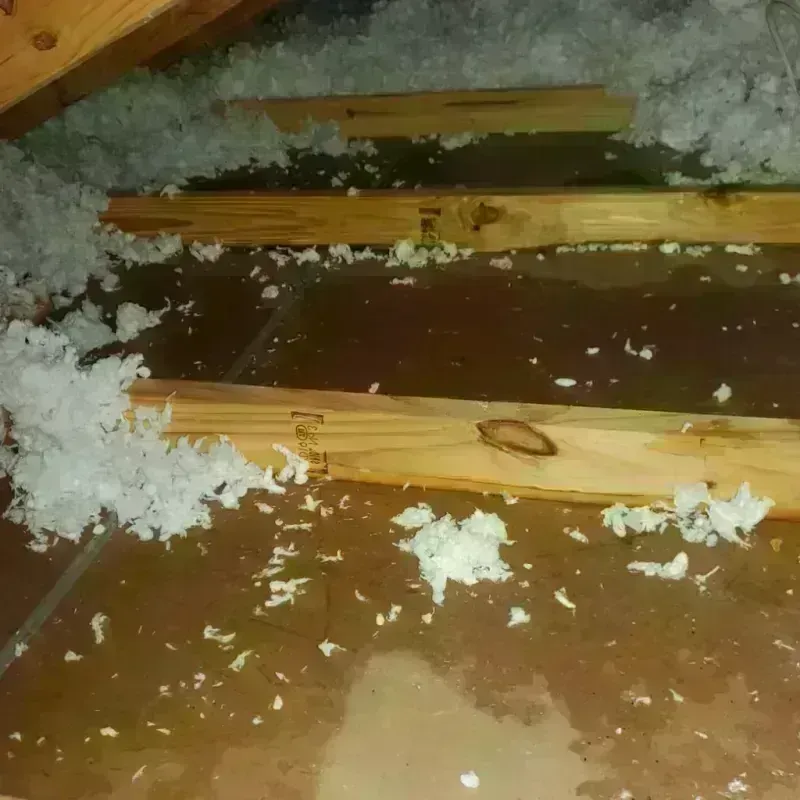 Attic Water Damage in Monroe, OH