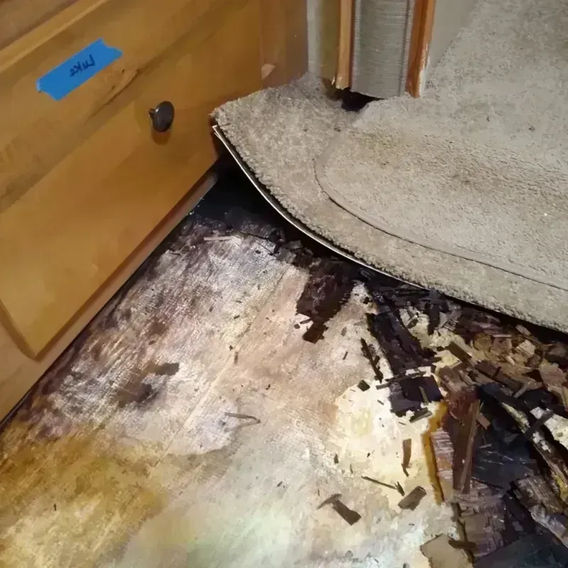 Wood Floor Water Damage in Monroe, OH